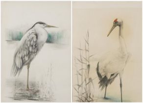 Japanese crane and heron, pair of coloured chalks, mounted, framed and glazed, each 51cm x 36cm
