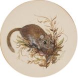 Anne Elson - Field mouse, circular heightened watercolour, gallery label verso, mounted, framed