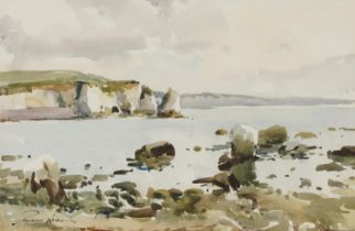 Edward Wesson - Jurassic Coast, Dorset, Modern British watercolour, mounted, framed and glazed, 49cm