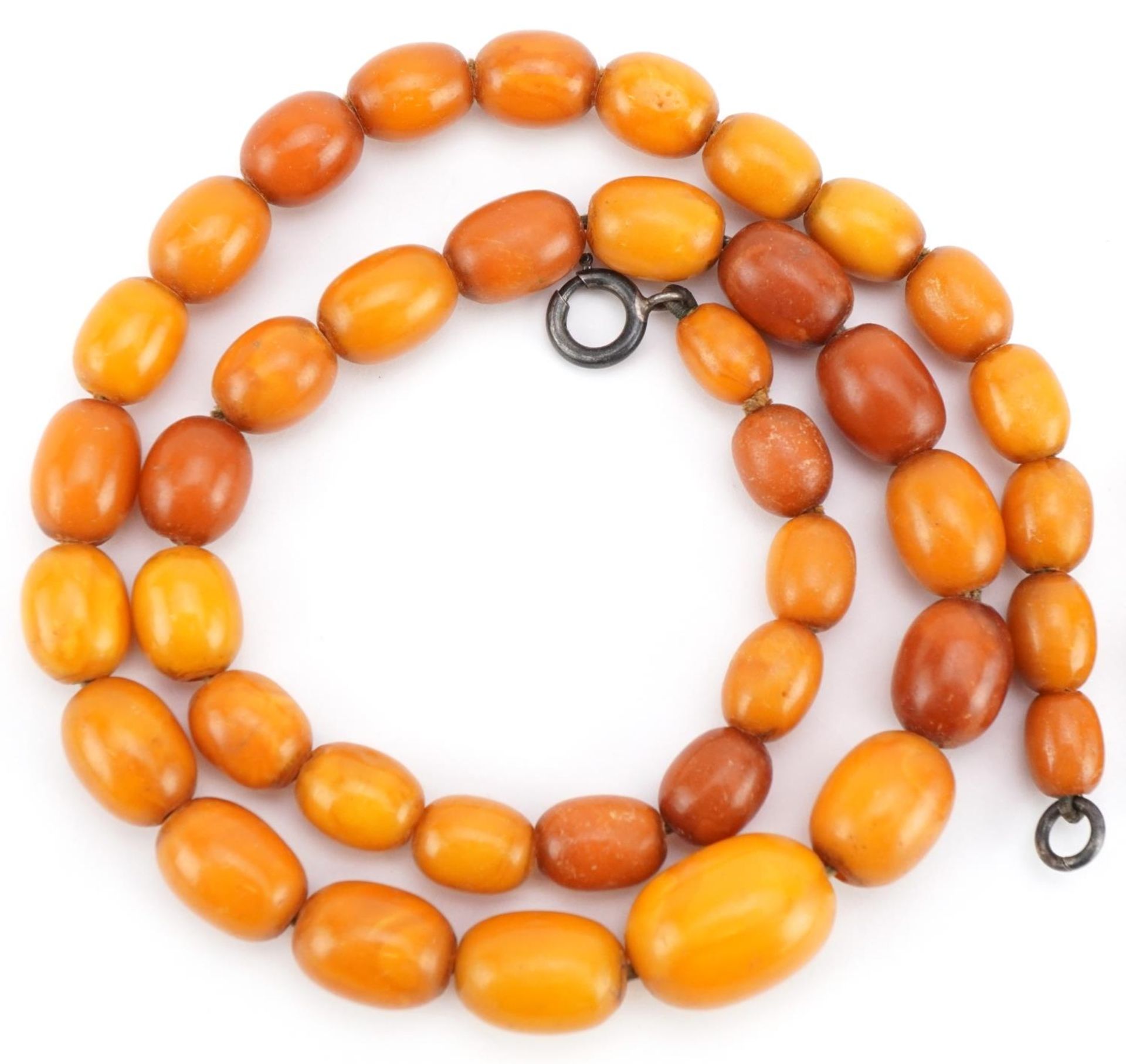 Two butterscotch amber coloured bead necklaces, one with white metal chain, the largest 46cm in - Image 2 of 3