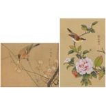 Birds amongst flowers, two Chinese watercolours, one onto silk, each with character marks and red
