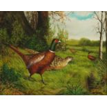 A Ogden - Pheasants in a landscape, 19th century style oil on wood panel, mounted and framed, 29cm x