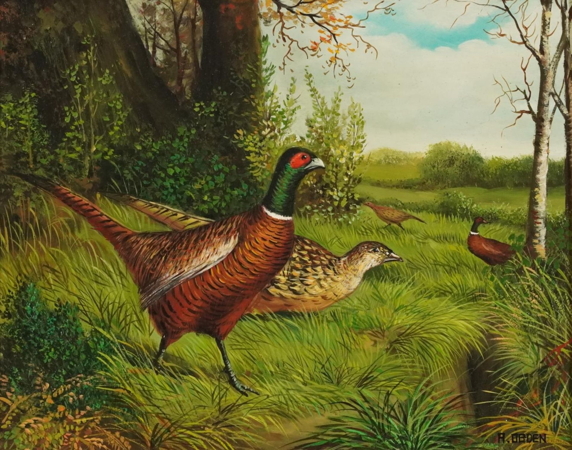 A Ogden - Pheasants in a landscape, 19th century style oil on wood panel, mounted and framed, 29cm x