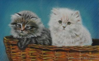 Thomas Newman 1977 - Two kittens in a basket, pastel, mounted, framed and glazed, 36cm x 23cm