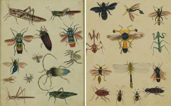 Insects, dragonflies and spiders, pair of 19th century natural history watercolour illustrations,