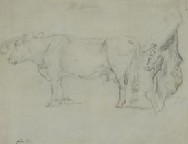 Manner of Robert Hills - Study of a bull, pencil sketch with pencil annotations, indistinctly