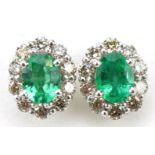 Pair of 18ct white gold oval emerald and diamond cluster stud earrings, total diamond weight