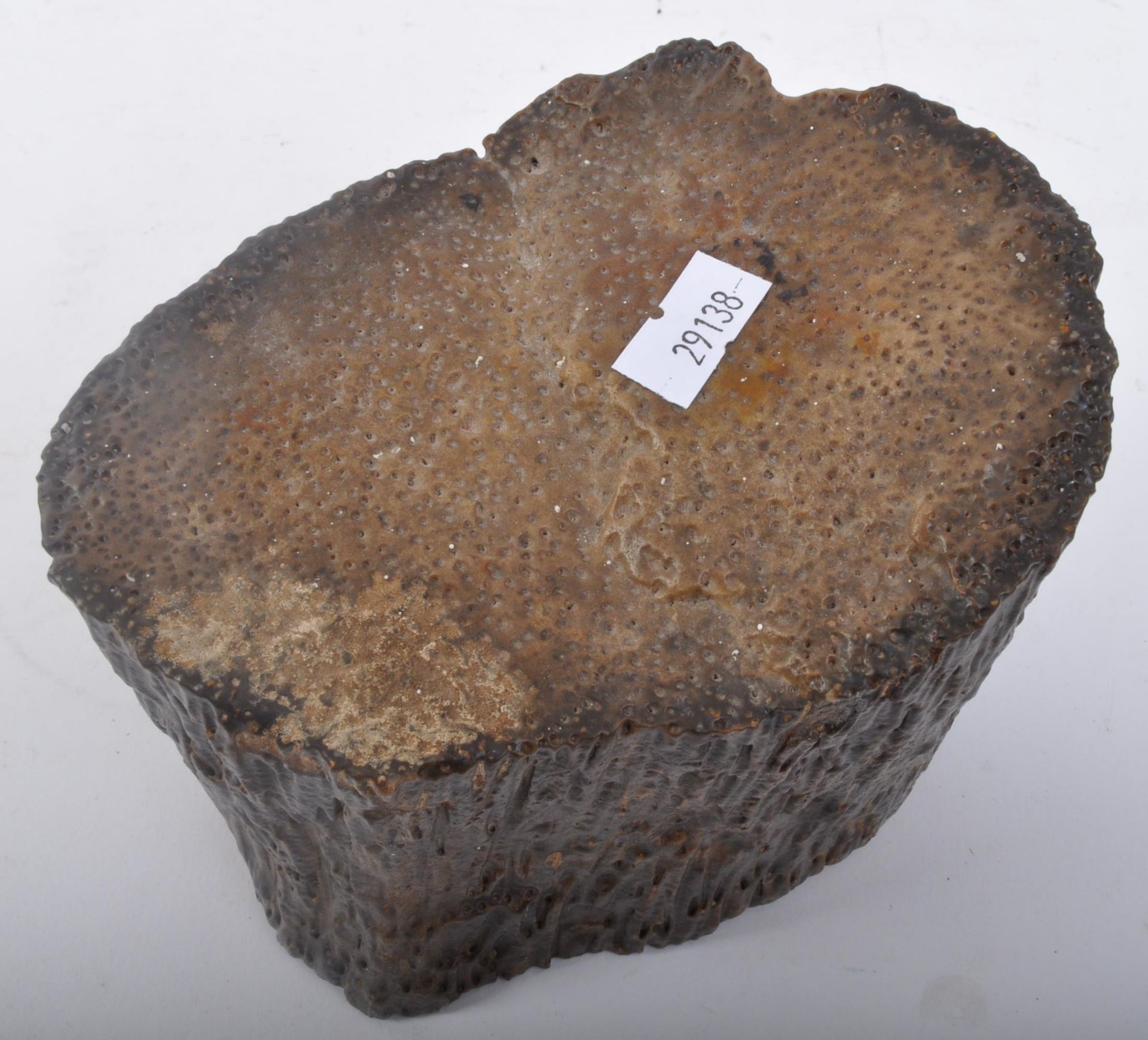 PIECE OF PETRIFIED FOSSILIZED WOOD - Image 4 of 5