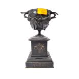 19TH CENTURY GRAND TOUR BRONZE CAMAPANA URN