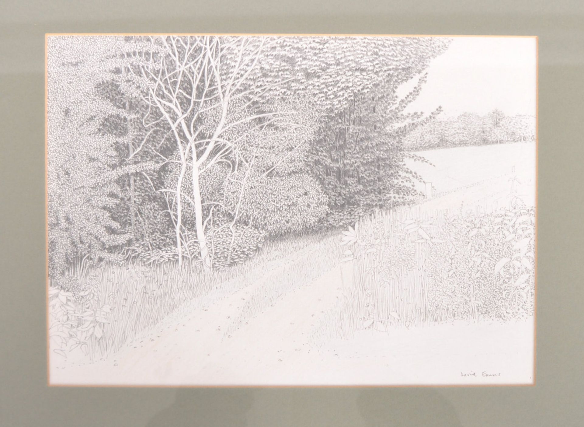 MEADOW PATHWAY, DRAWING BY DAVID EVANS ARCA RSA RSW