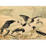 LARGE EARLY 20TH CENTURY LITHOGRAPH CROW PRINT