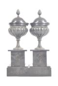 PAIR OF 19TH CENTURY BRONZE CLASSICAL LIDDED URNS