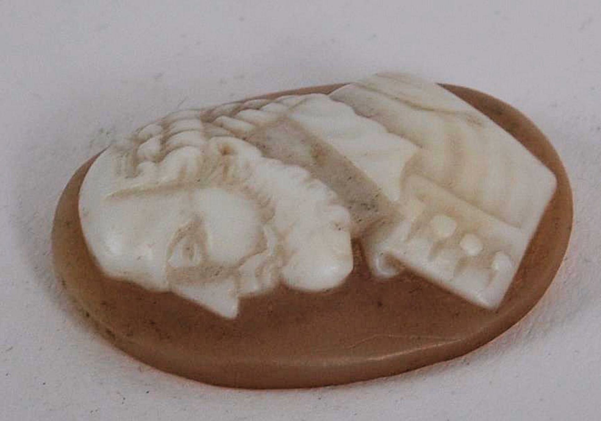 18TH CENTURY CAMEO SHELL CARVING - Image 3 of 4