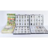 COLLECTION OF NATIONAL GEOGRAPHIC REAL BUGS LIFE COLLECTIBLE INSECTS