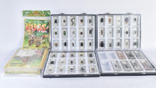 COLLECTION OF NATIONAL GEOGRAPHIC REAL BUGS LIFE COLLECTIBLE INSECTS