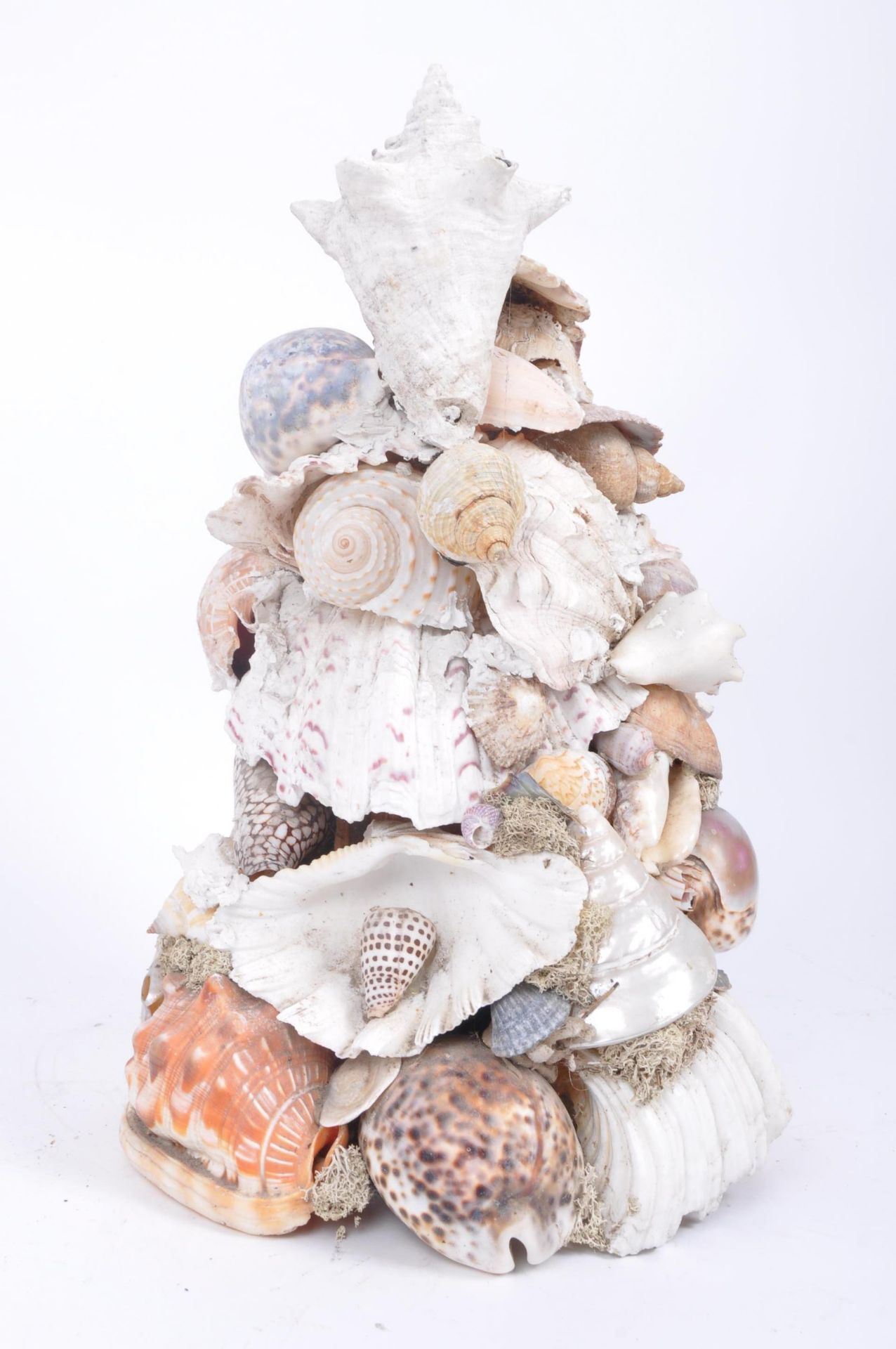 LATE 19TH CENTURY VICTORIAN SEASHELL DISPLAY - Image 4 of 6