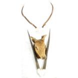 TAXIDERMY & NATURAL HISTORY - SELECTION OF ANTLERS / HORNS