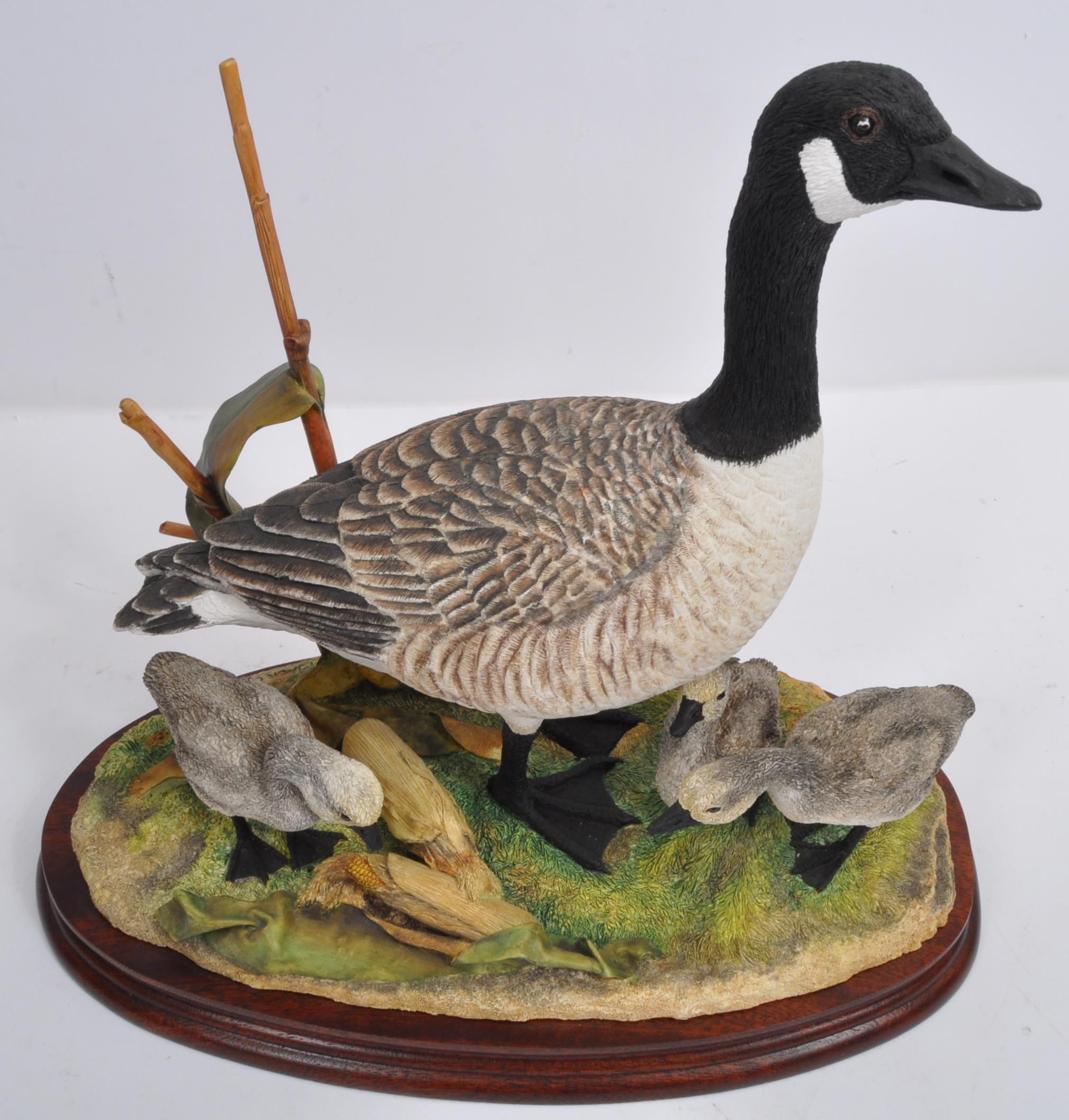 BORDER FINE ARTS - CANADA GOOSE & GOSLINGS - LIMITED EDITION - Image 4 of 5