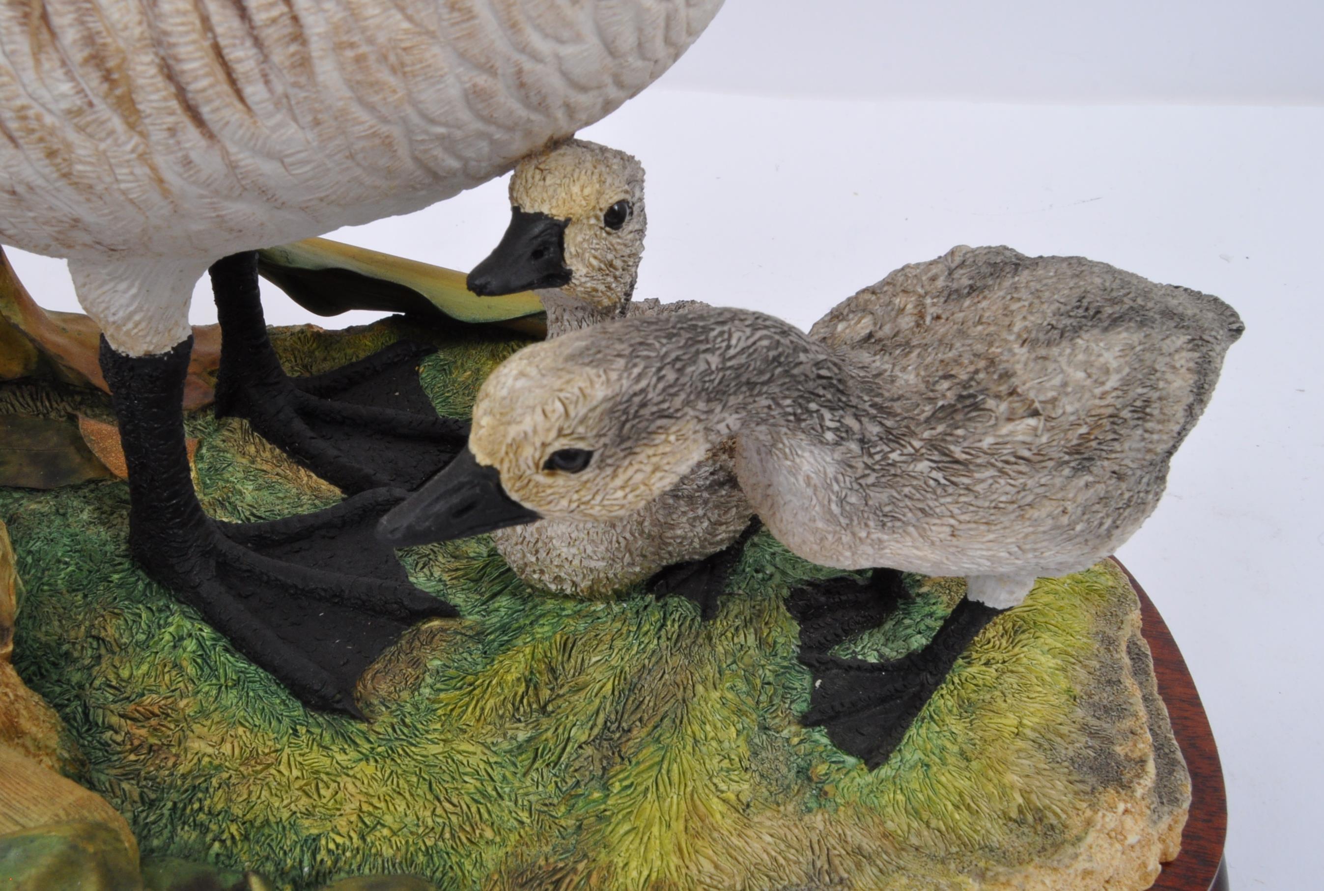 BORDER FINE ARTS - CANADA GOOSE & GOSLINGS - LIMITED EDITION - Image 5 of 5