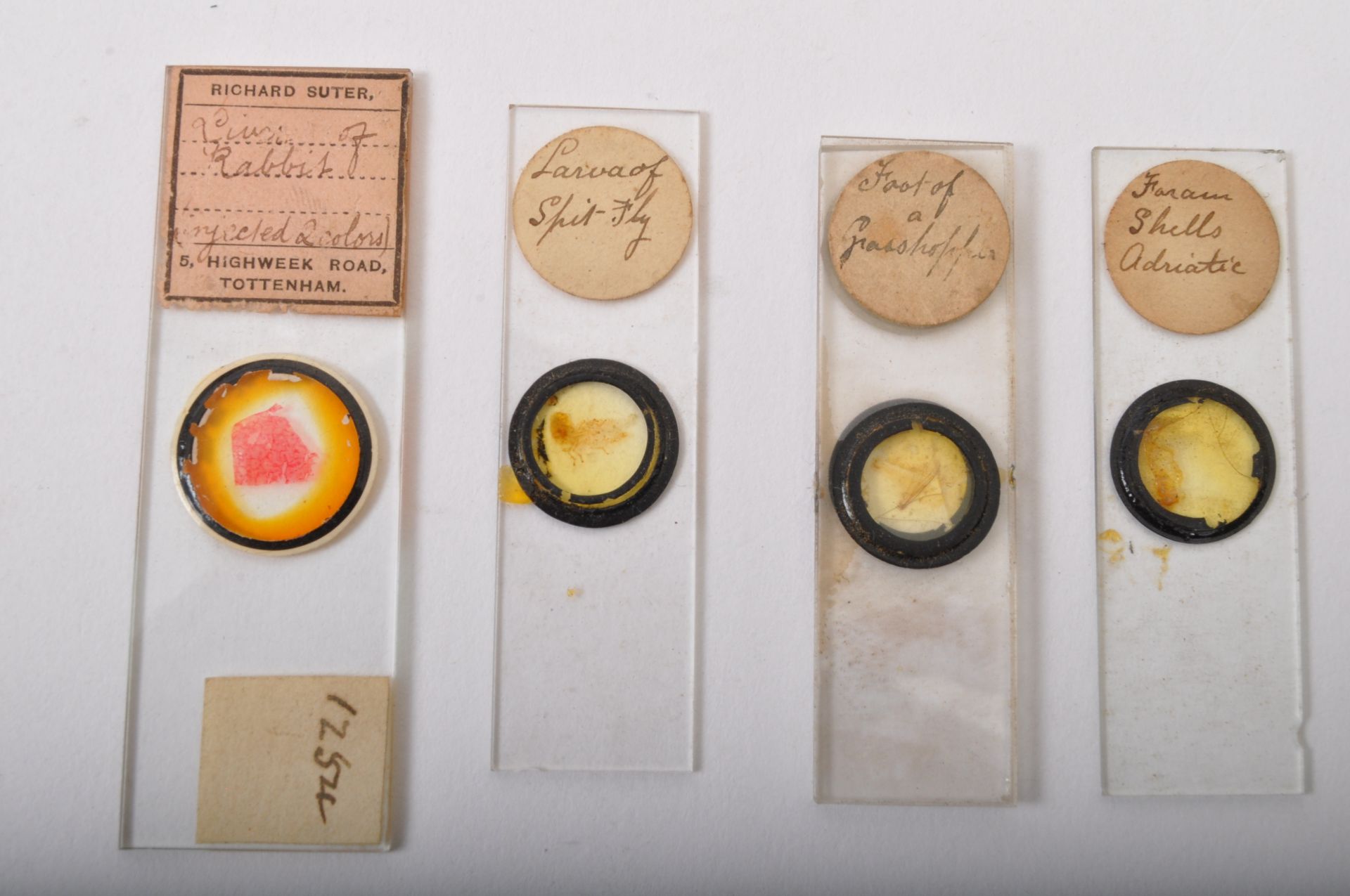 COLLECTION OF VICTORIAN SPECIMAN SLIDES & MICROSCOPE - Image 5 of 5