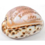 INTERNATIONAL FISHERIES EXHIBITION - 1883 - TIGER COWRIE SOUVENIR