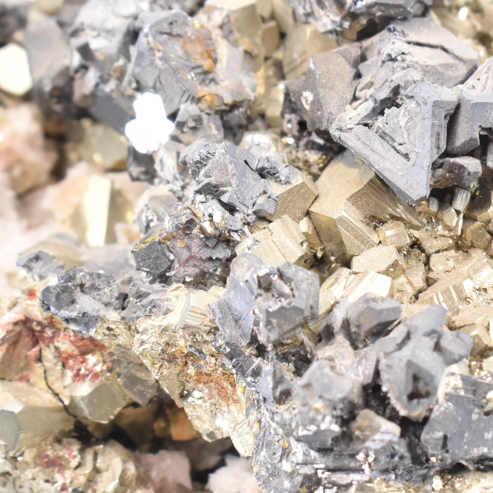 NATURAL HISTORY - PYRITE SPECIMEN - Image 5 of 5