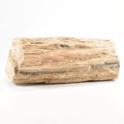 NATURAL HISTORY - PETRIFIED WOOD MINERAL SPECIMEN