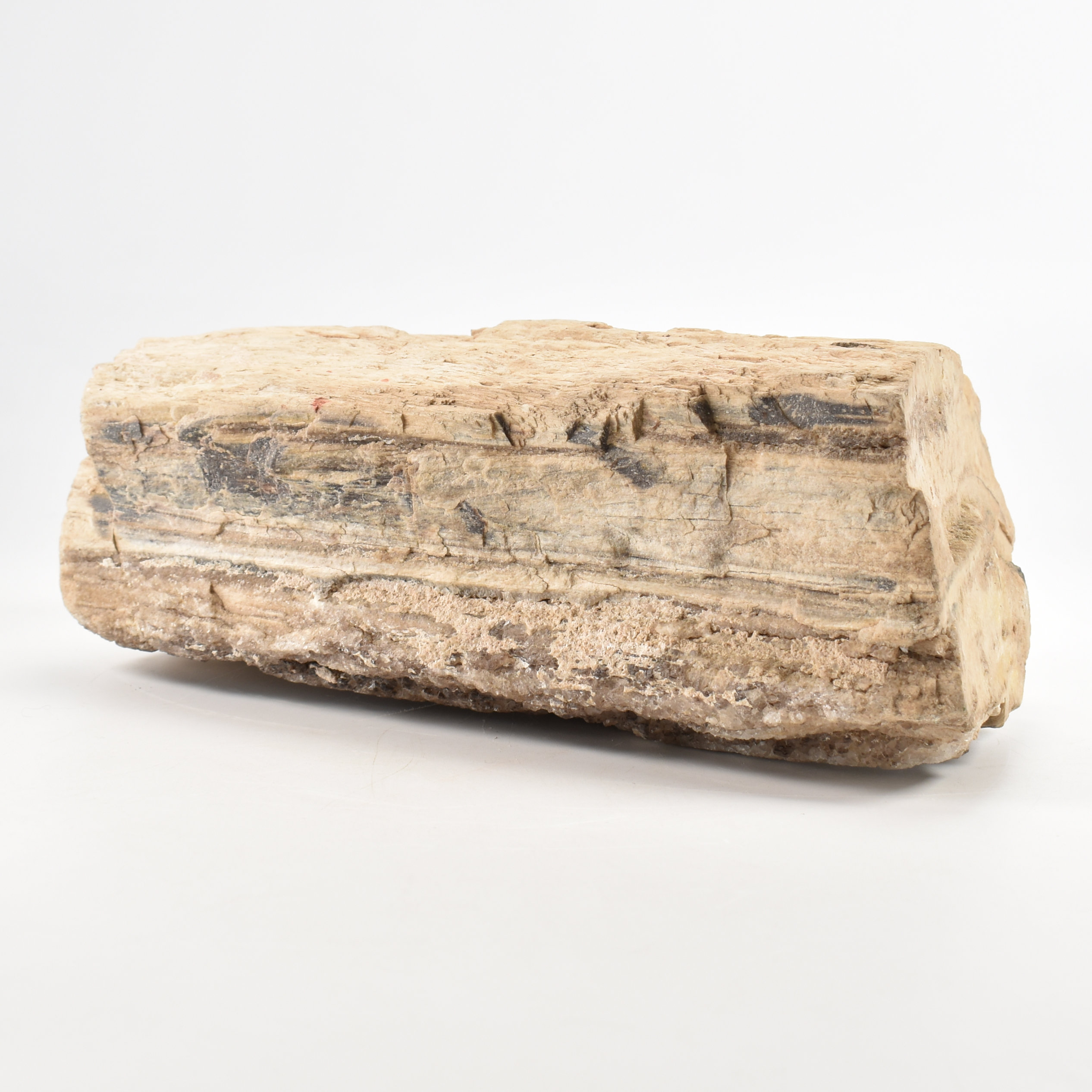 NATURAL HISTORY - PETRIFIED WOOD MINERAL SPECIMEN - Image 2 of 5