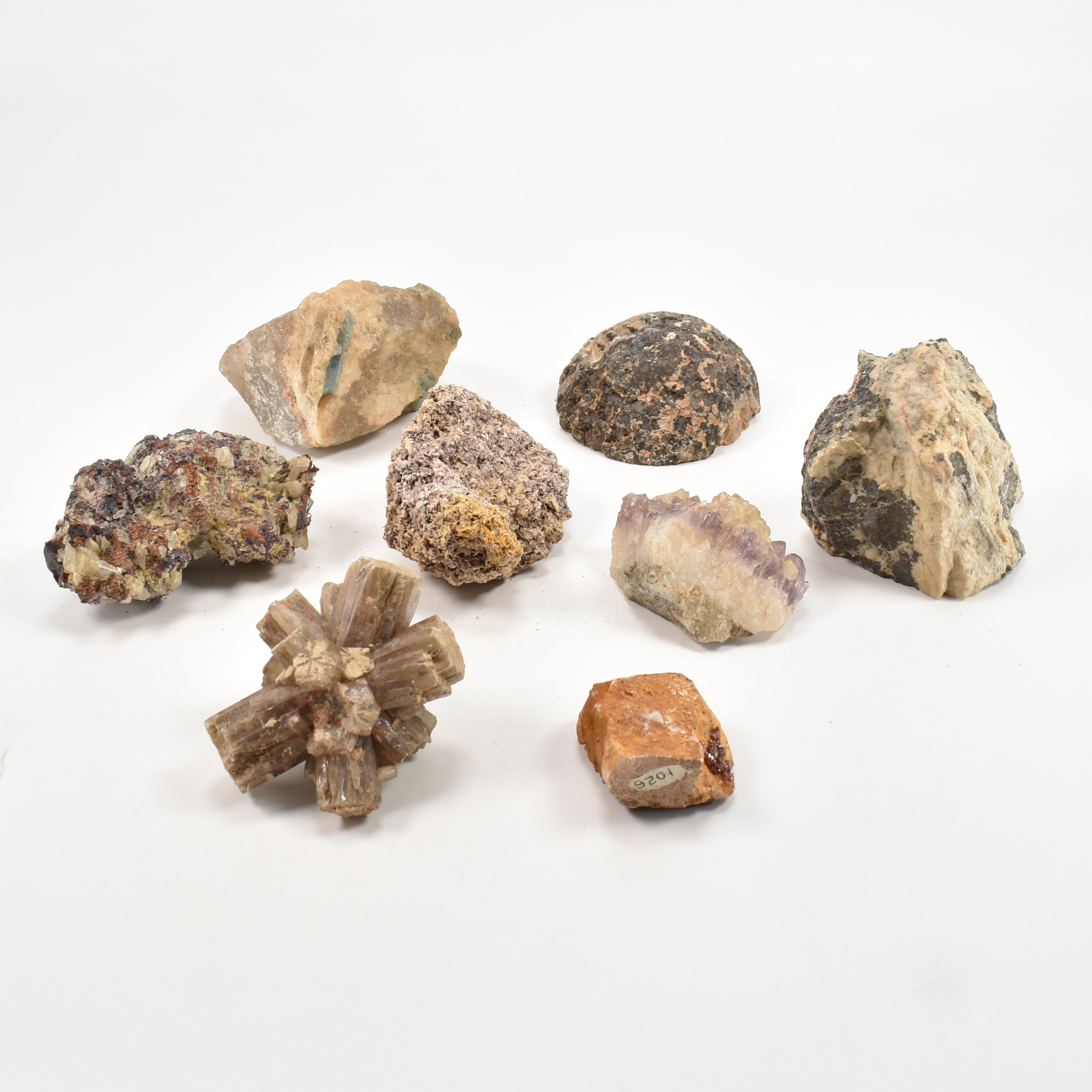 NATURAL HISTORY - GEODE & MINERALS - Image 4 of 12