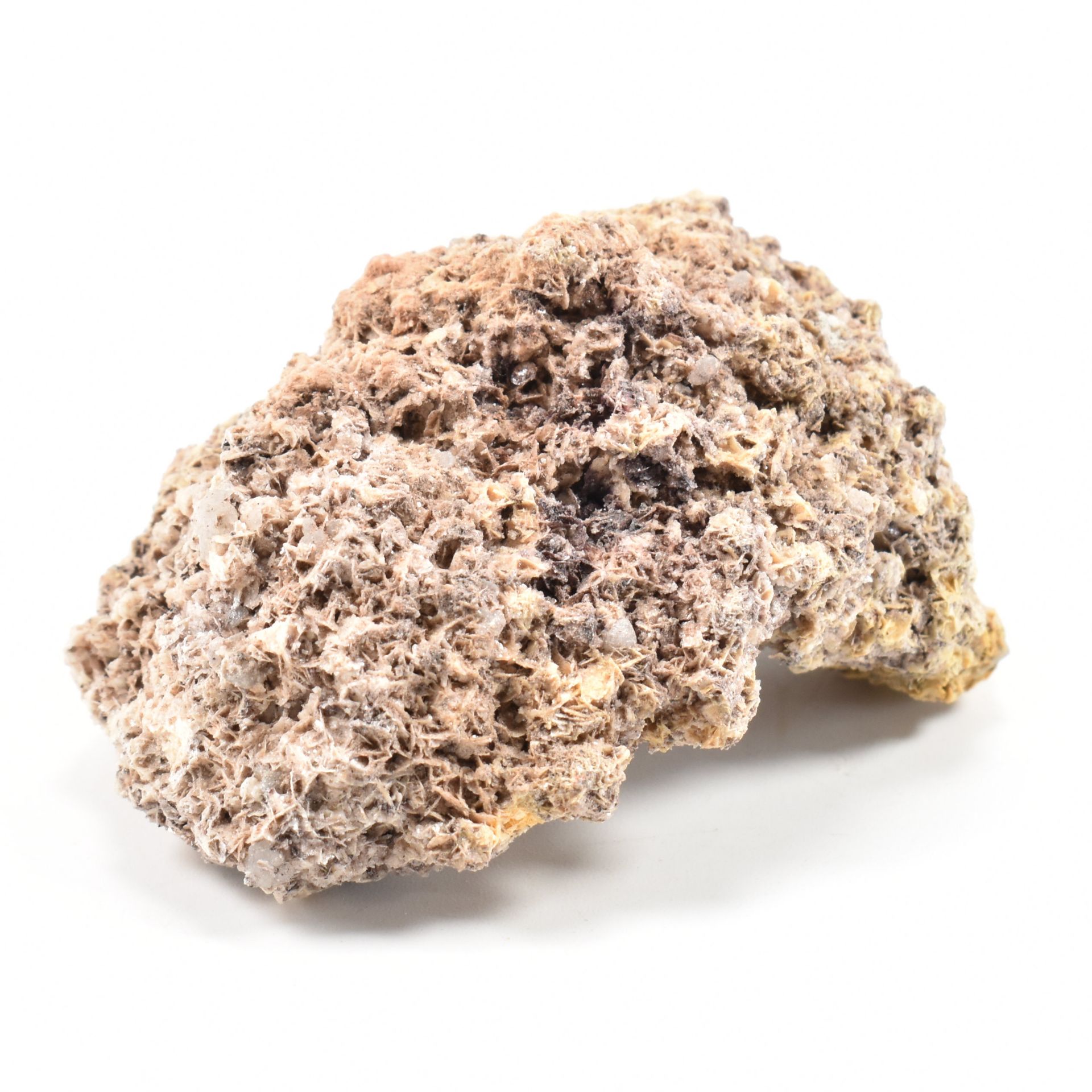 NATURAL HISTORY - GEODE & MINERALS - Image 12 of 12