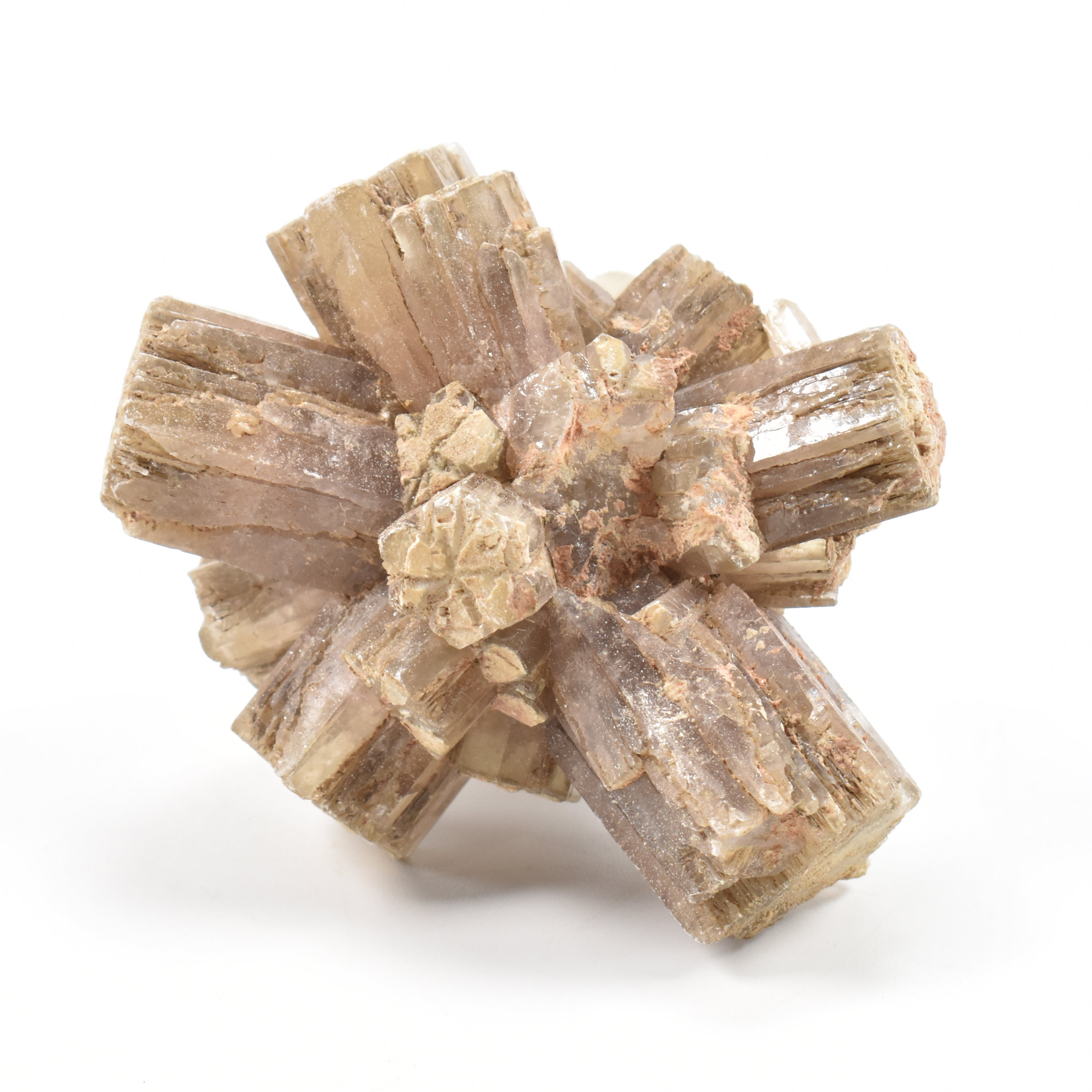 NATURAL HISTORY - GEODE & MINERALS - Image 11 of 12