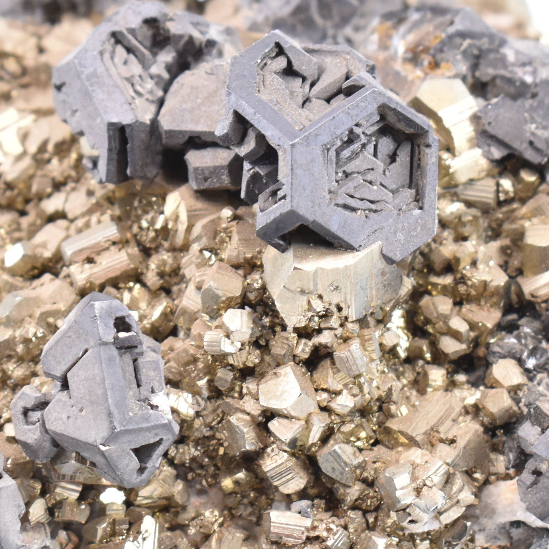 NATURAL HISTORY - PYRITE SPECIMEN - Image 3 of 5