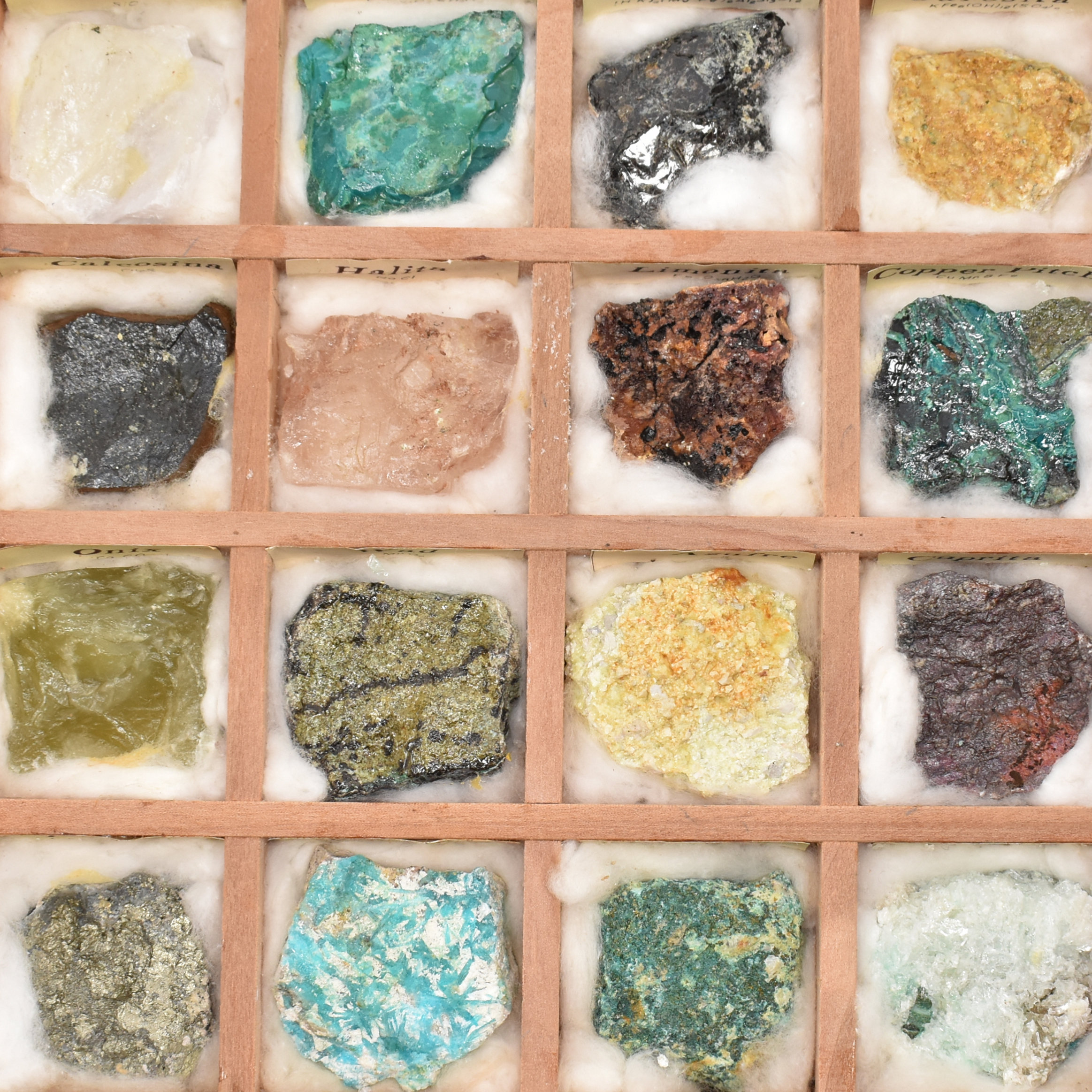 NATURAL HISTORY - ASSORTED MINERAL SPECIMENS & SHELLS - Image 2 of 9