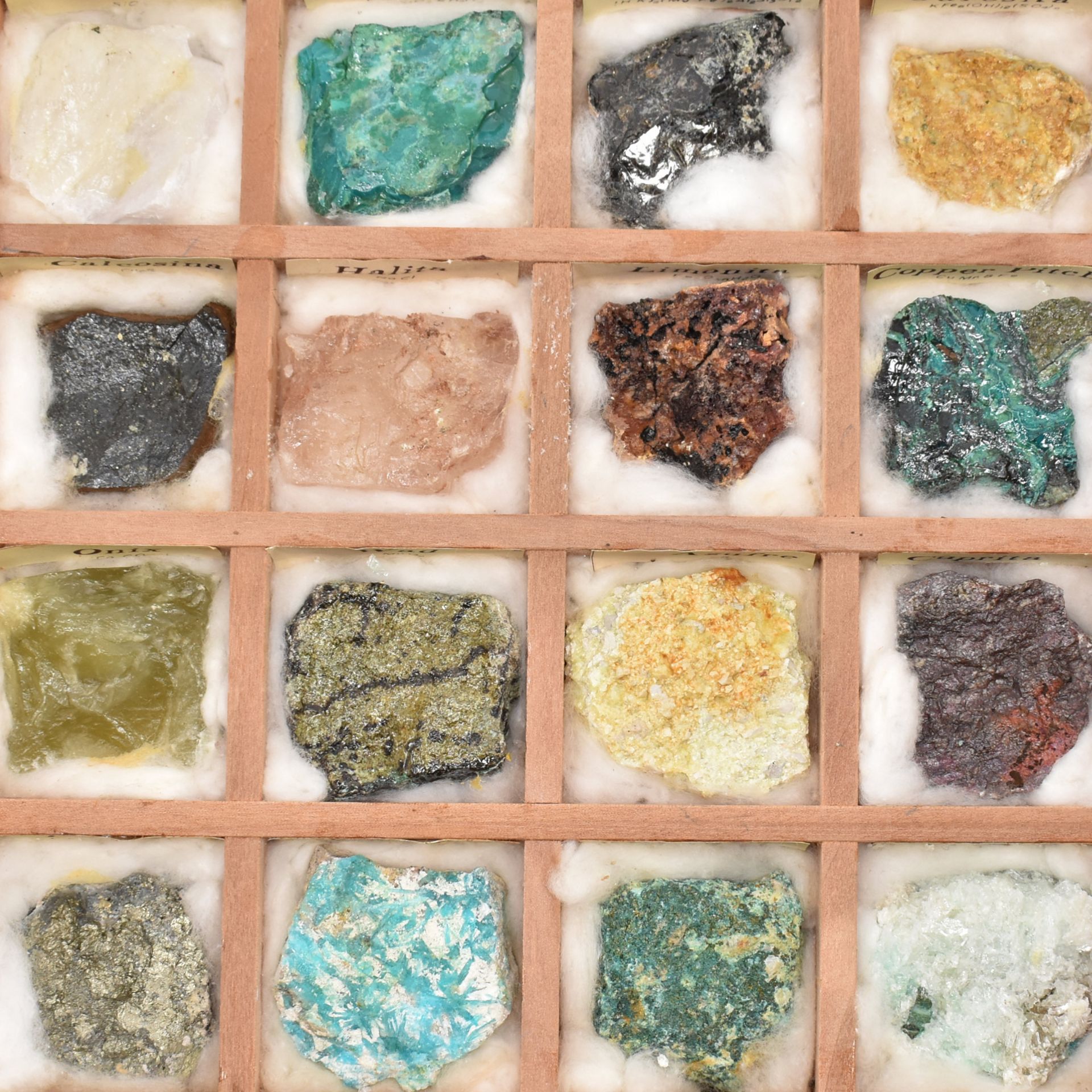 NATURAL HISTORY - ASSORTED MINERAL SPECIMENS & SHELLS - Image 2 of 9