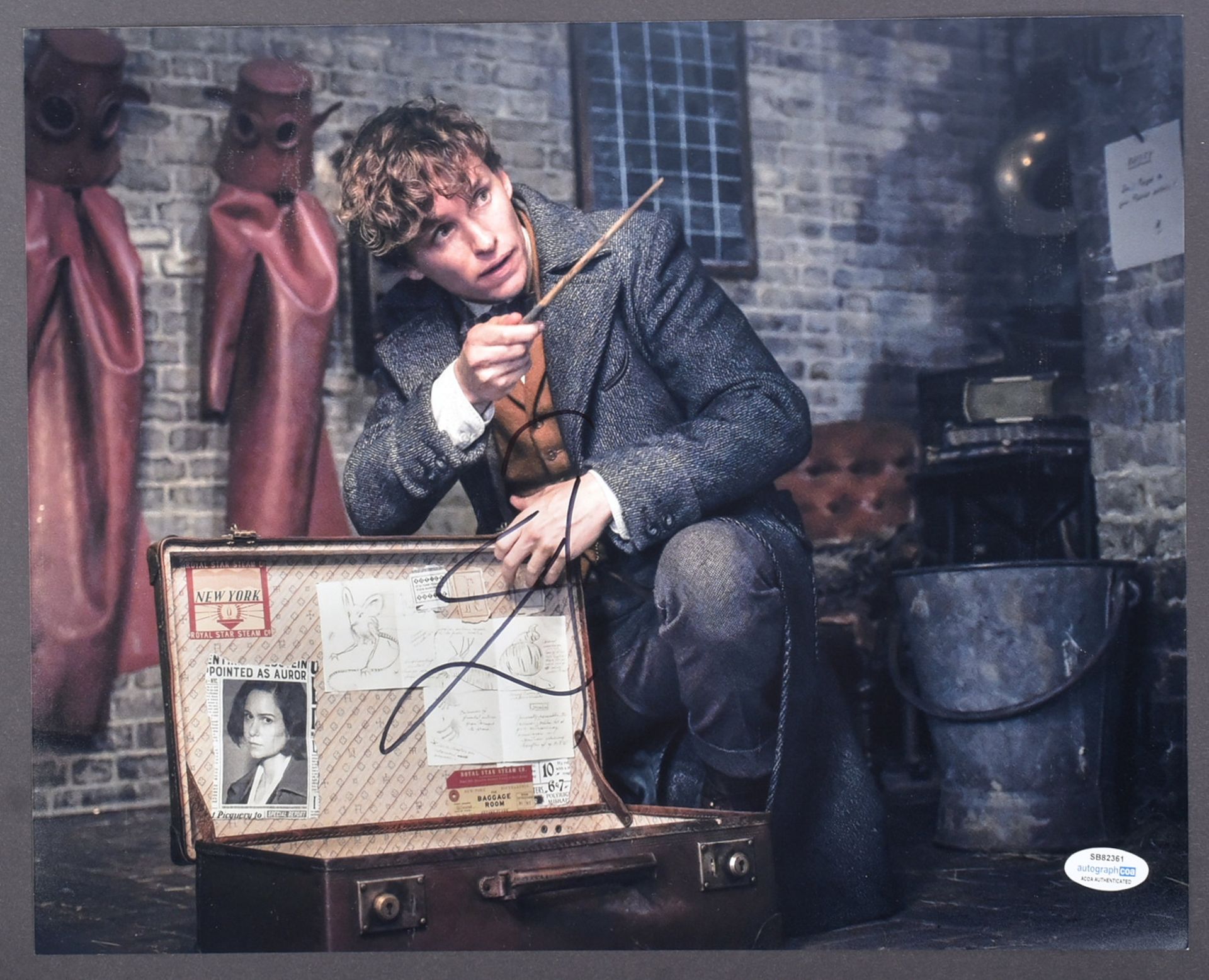 EDDIE REDMAYNE - HARRY POTTER FANTASTIC BEASTS 11X14" - ACOA