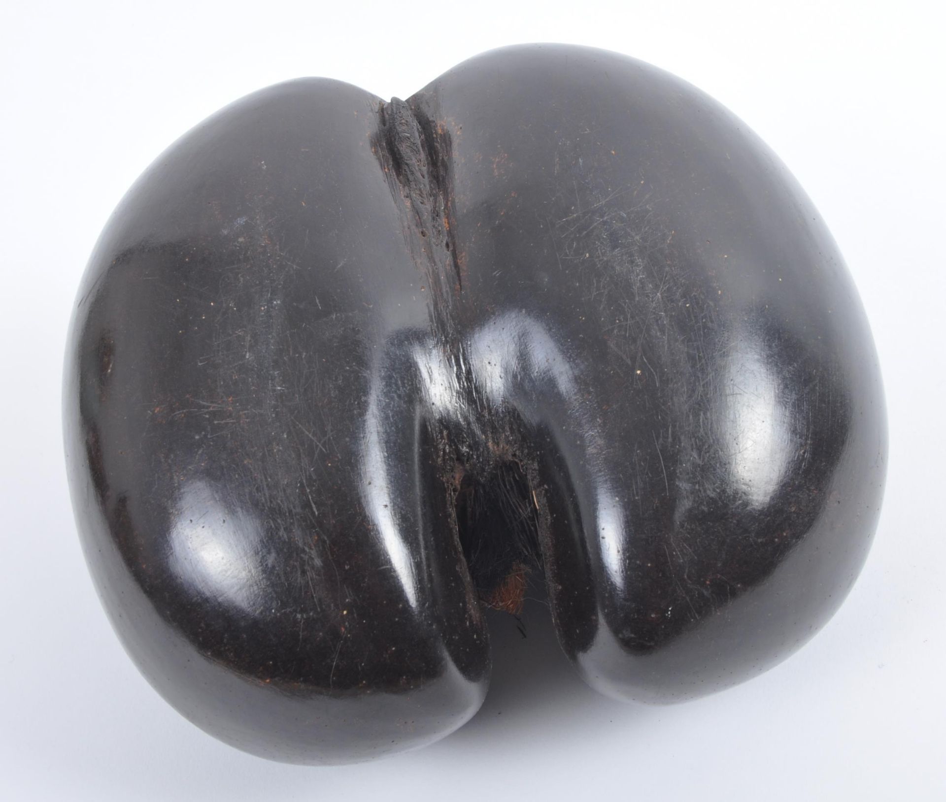 LARGE EARLY 20TH CENTURY COCO DE MER NUT - Image 6 of 6