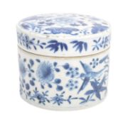 19TH CENTURY CHINESE BLUE & WHITE PORCELAIN TEA CADDY