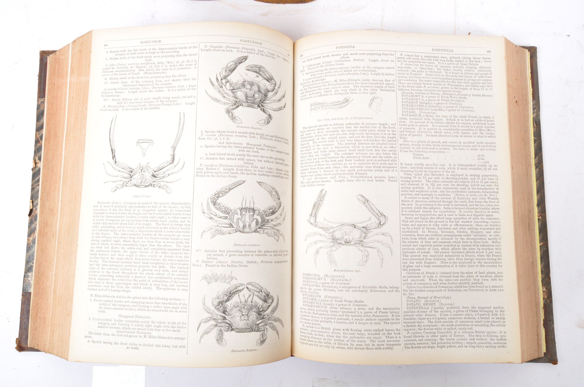 19TH CENTURY - CHARLES KNIGHT - ENGLISH CYCLOPAEDIA - THREE VOLUMES - Image 5 of 5