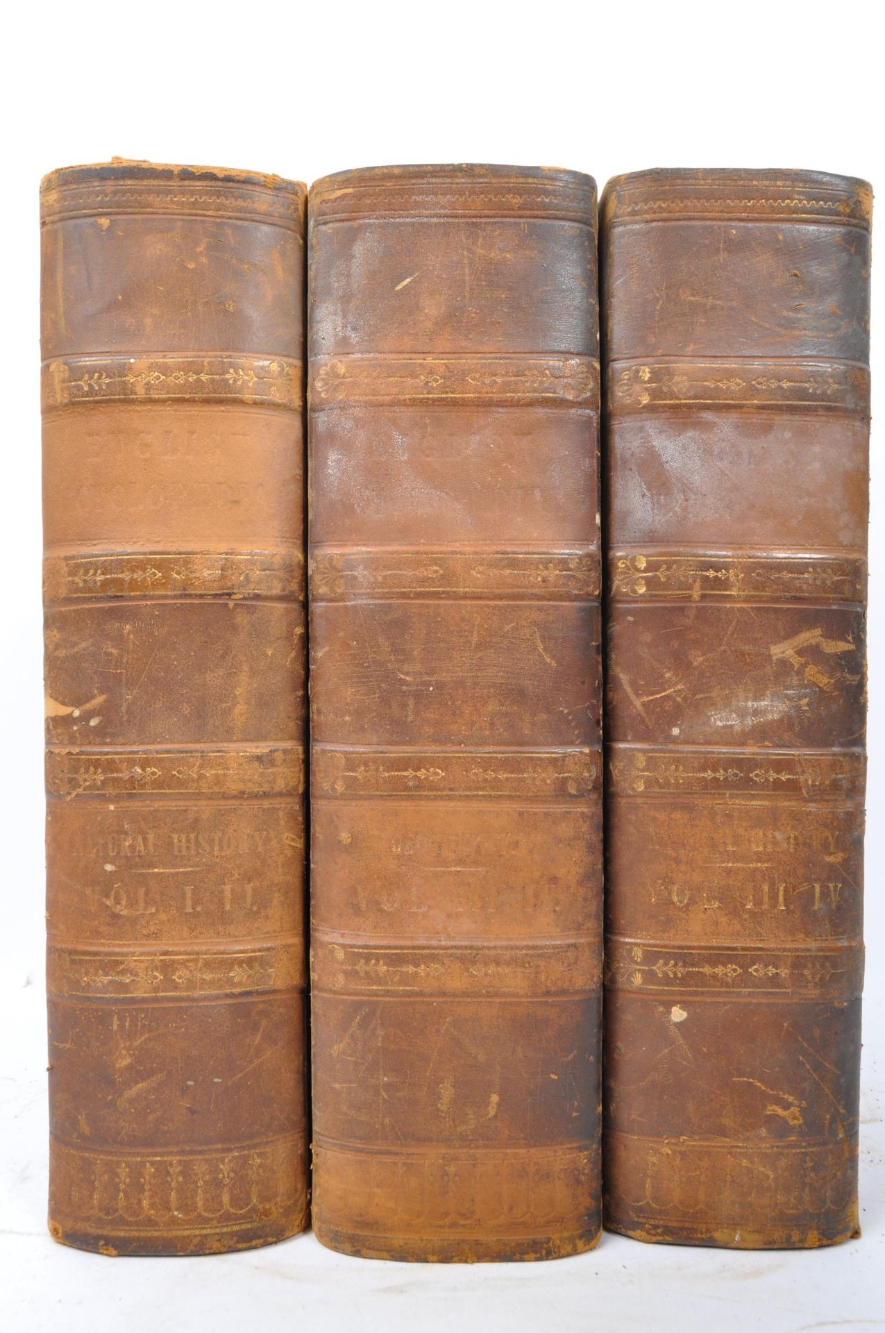 19TH CENTURY - CHARLES KNIGHT - ENGLISH CYCLOPAEDIA - THREE VOLUMES - Image 3 of 5