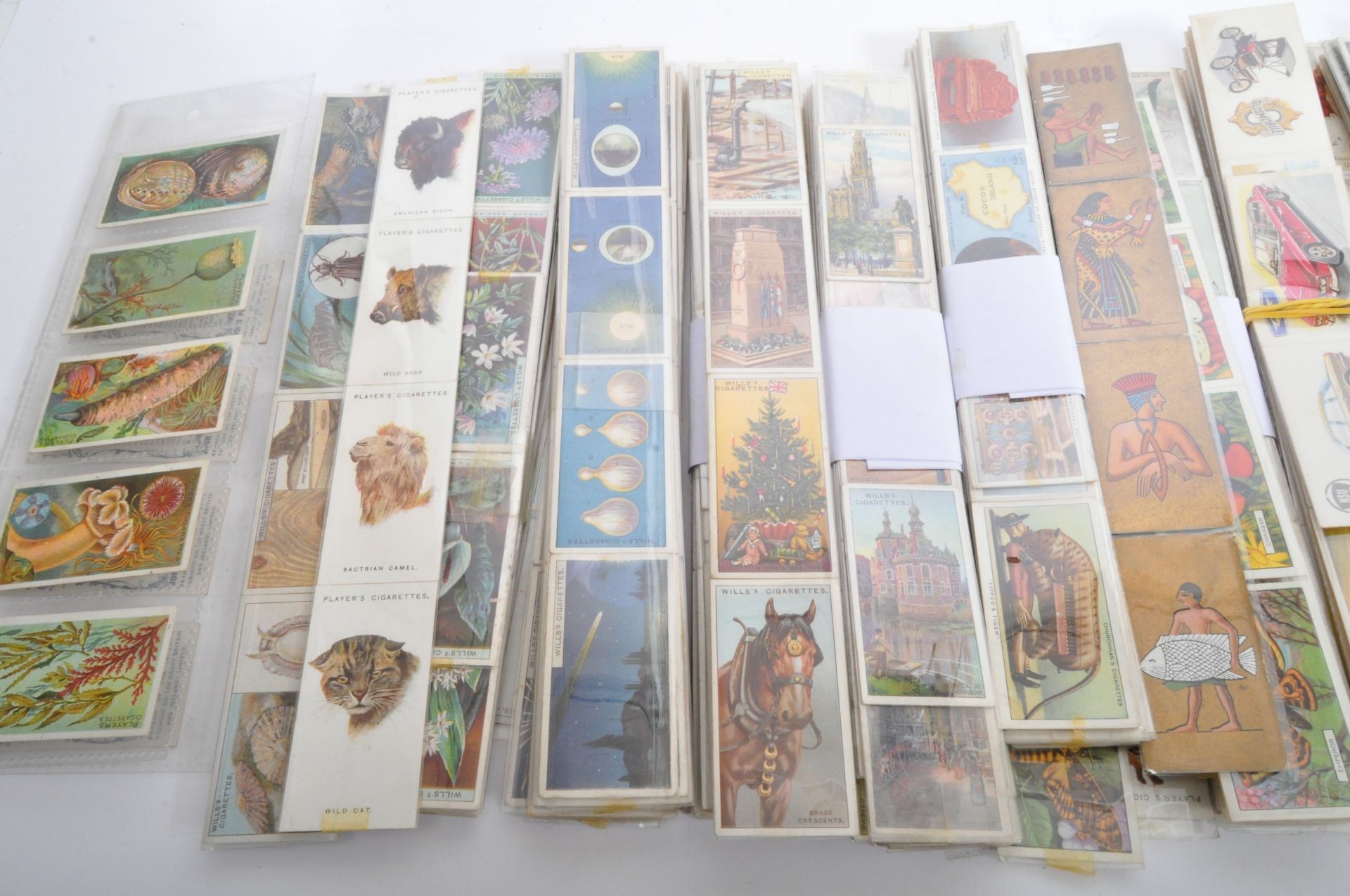 CIGARETTE CARDS - COLLECTION OF VINTAGE 20TH CENTURY - Bild 2 aus 5