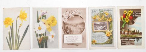 COLLECTION OF 20TH CENTURY DAFFODIL FLOWER POSTCARDS