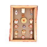 RED CROSS / NURSING - COLLECTION OF MEDALS / BADGES