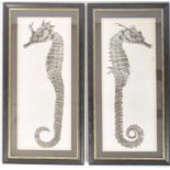 PAIR OF LARGE VINTAGE FRAMED & GLAZED SEAHORSE PRINTS