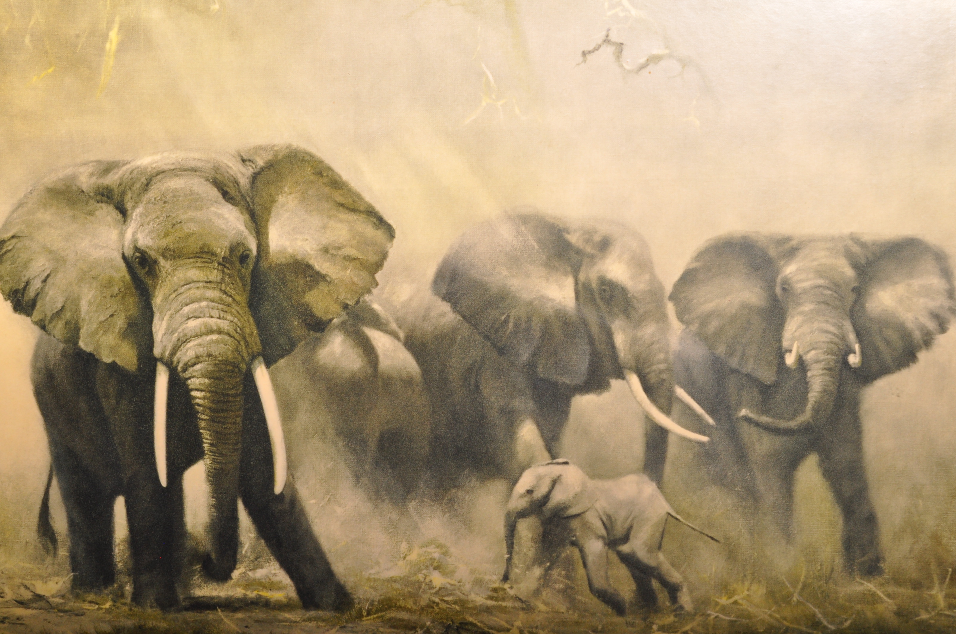 DAVID SHEPHERD - ELEPHANTS AT AMBOSELI - FRAMED PRINT - Image 3 of 6