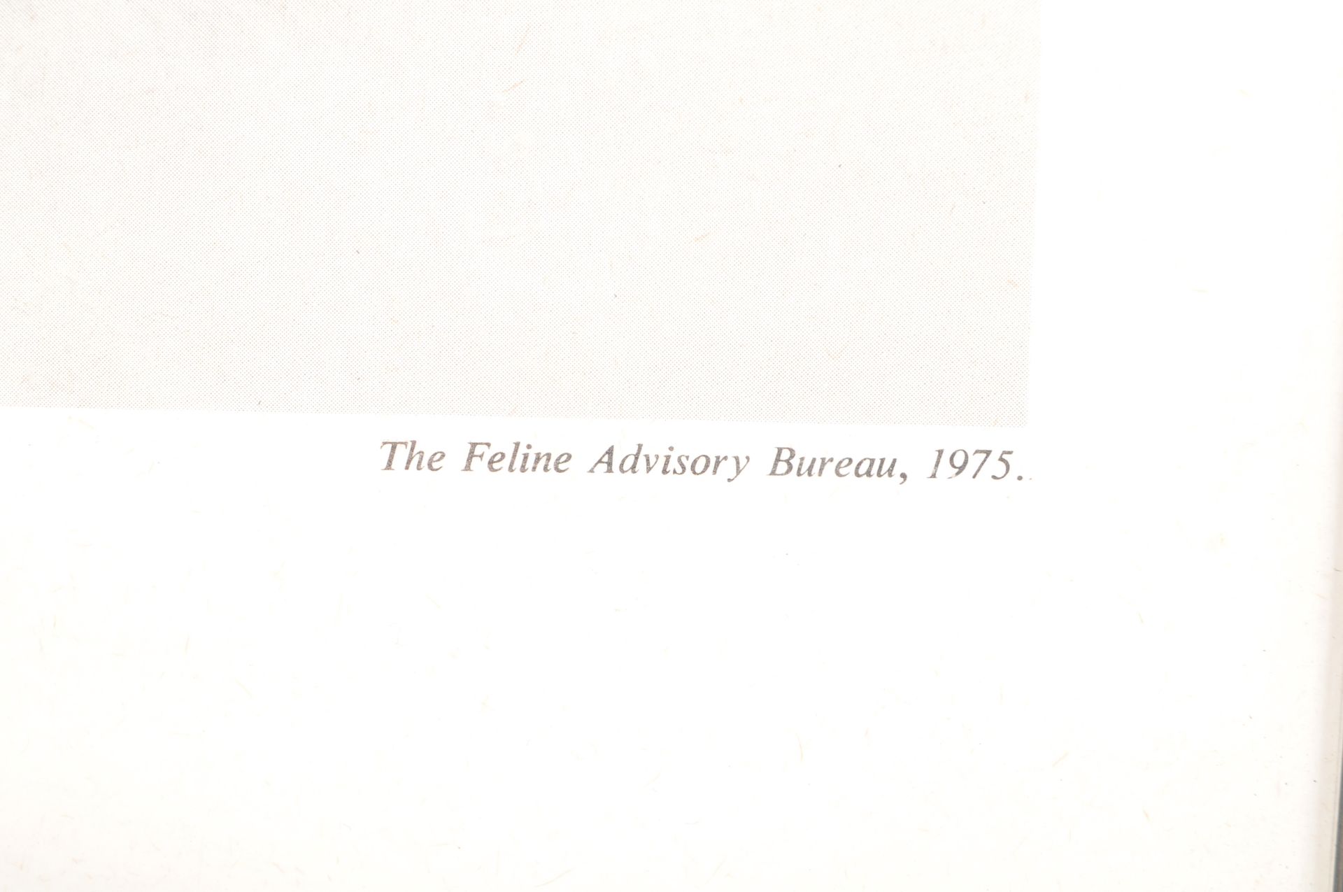 1975 FELINE ADVISORY BUREAU LIMITED EDITION PRINT BY LOUIS WAIN - Image 3 of 5