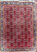 VINTAGE 20TH CENTURY BIDJAR PERSIAN ISLAMIC CARPET FLOOR RUG