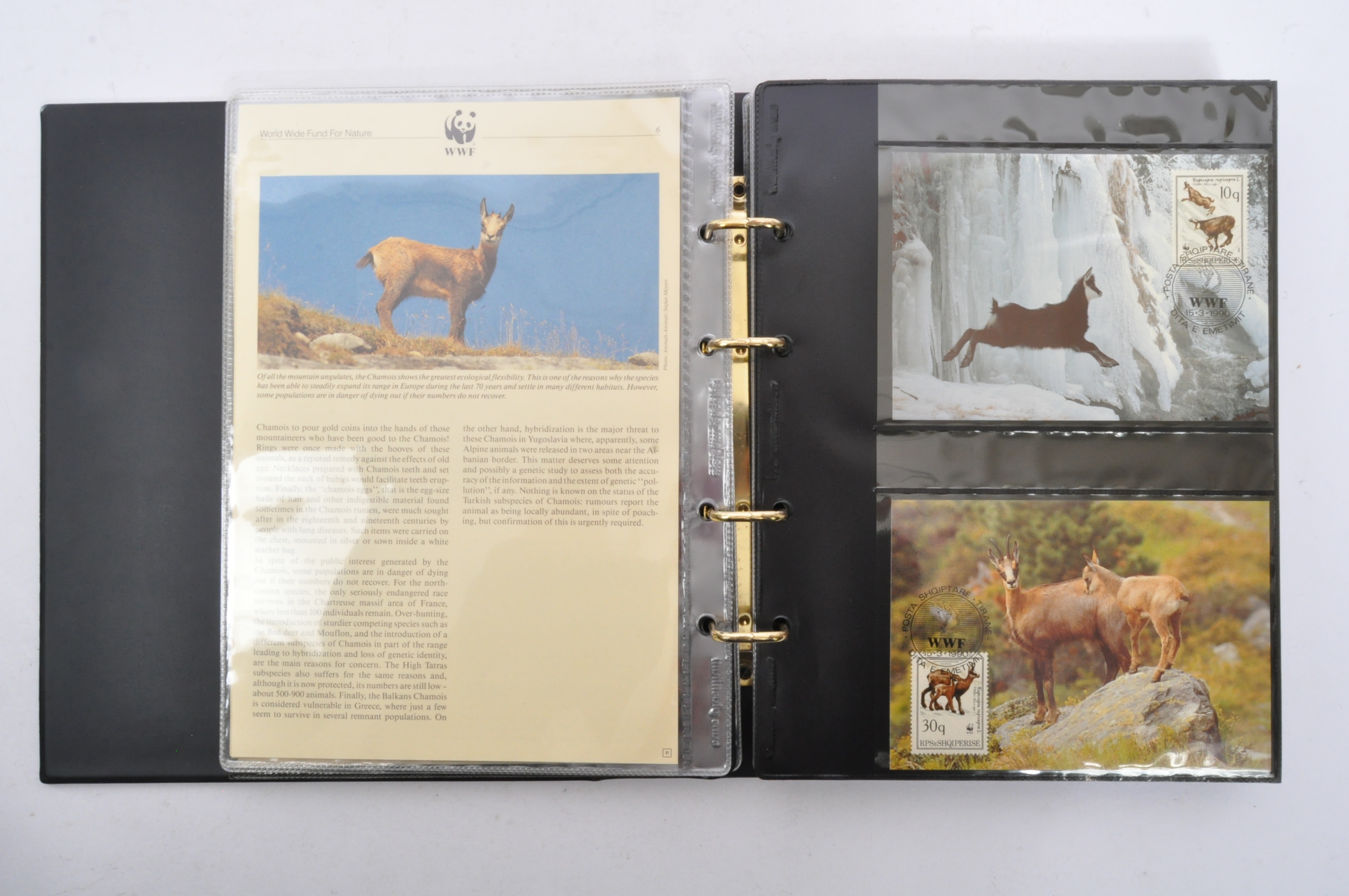 FOUR WWF FIRST DAY COVER STAMP ALBUMS - Image 4 of 5