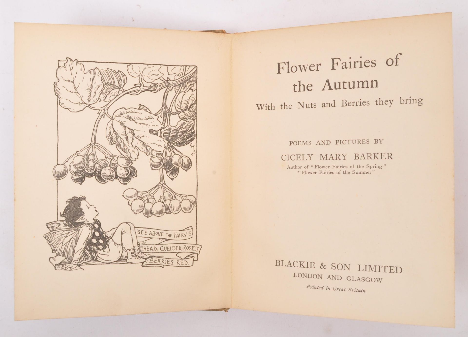1923 FLOWER FAIRIES OF THE AUTUMN FIRST EDITION SMALL BOOK - Image 3 of 7