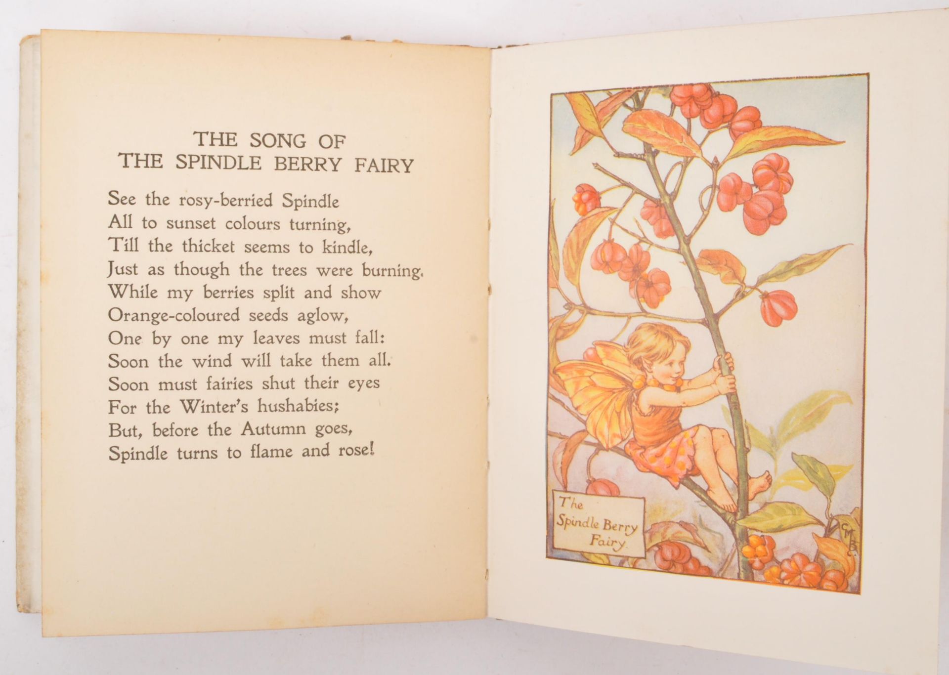 1923 FLOWER FAIRIES OF THE AUTUMN FIRST EDITION SMALL BOOK - Image 5 of 7