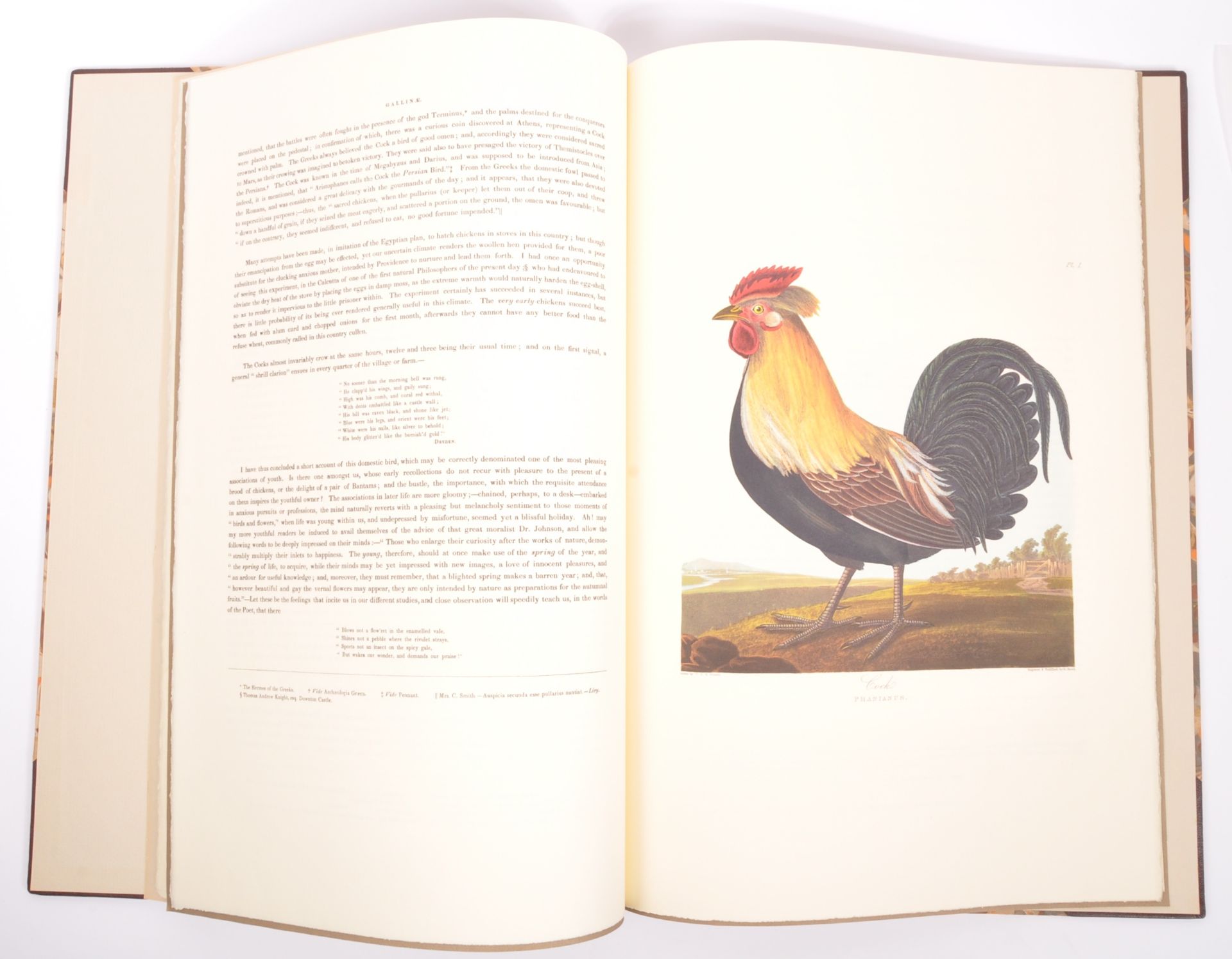 GAME BIRDS & PART 1 SELECTION OF BRITISH BIRDS LTD EDITION - Image 7 of 8